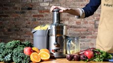 Best centrifugal juicer: Breville Juice Fountain Compact BJE200XL