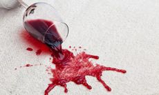 Red wine spill on carpet