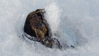 Rare iron meteorites formed during the early stages of the solar system are thought to heat up more than normal in the atmosphere and to melt into the ice.