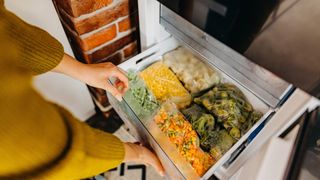 woman opening freezer with food inside to question how often should you defrost a freezer