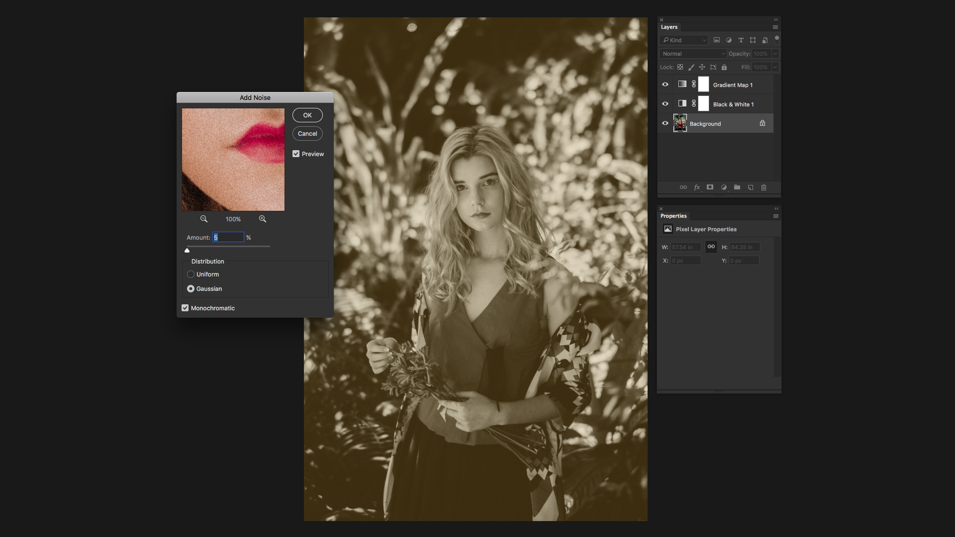 The Add Noise filter can simulate film grain [click the icon to enlarge the image]