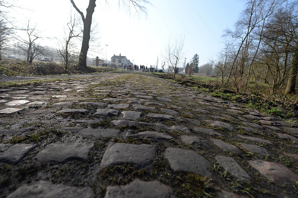 The cobbles of the Arenberg Forest