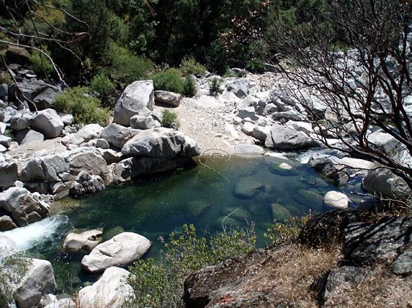Swimming in the yuba