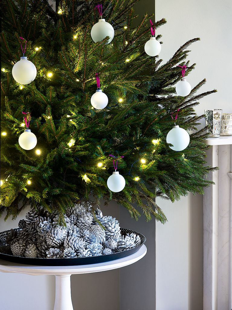 How to grow your own Christmas tree Gardeningetc