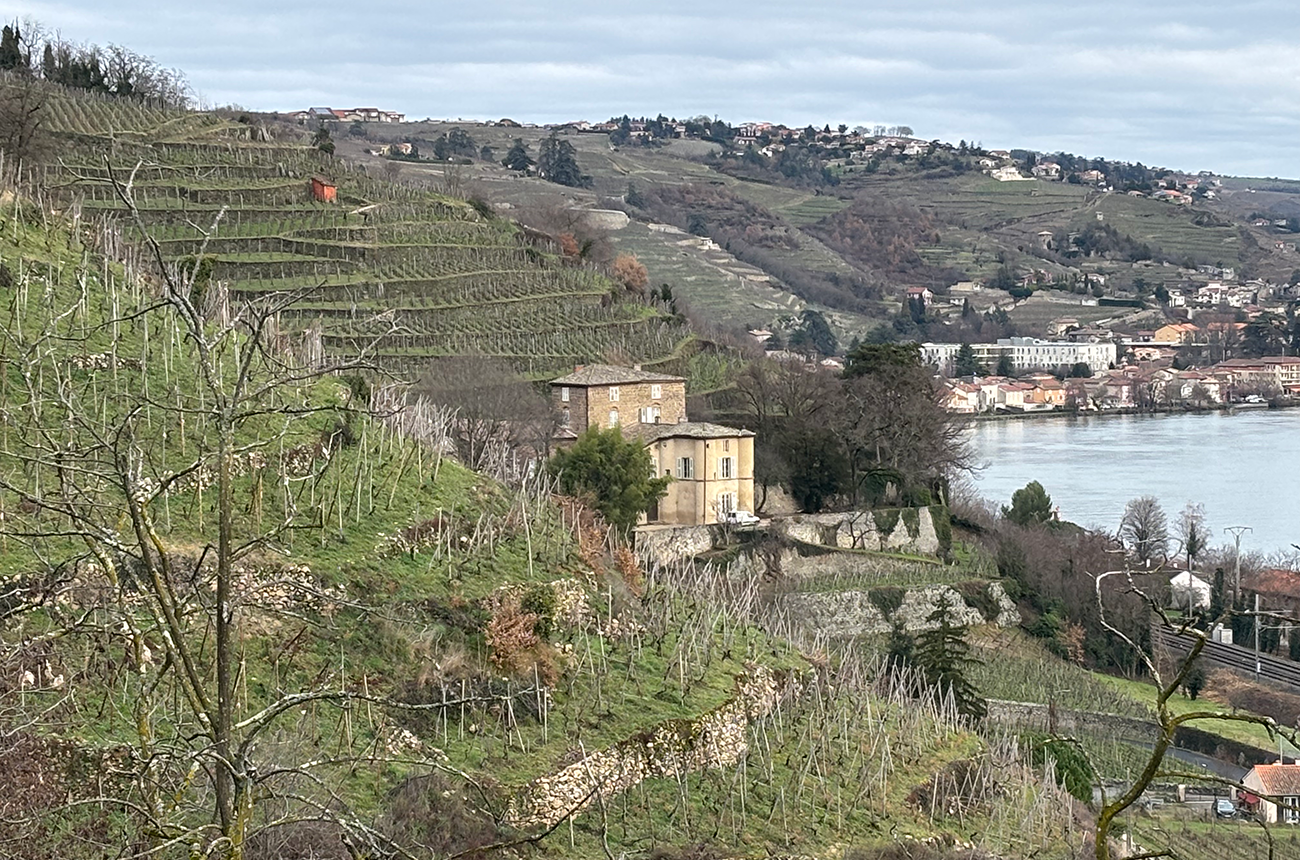 Ch&acirc;teau-Grillet