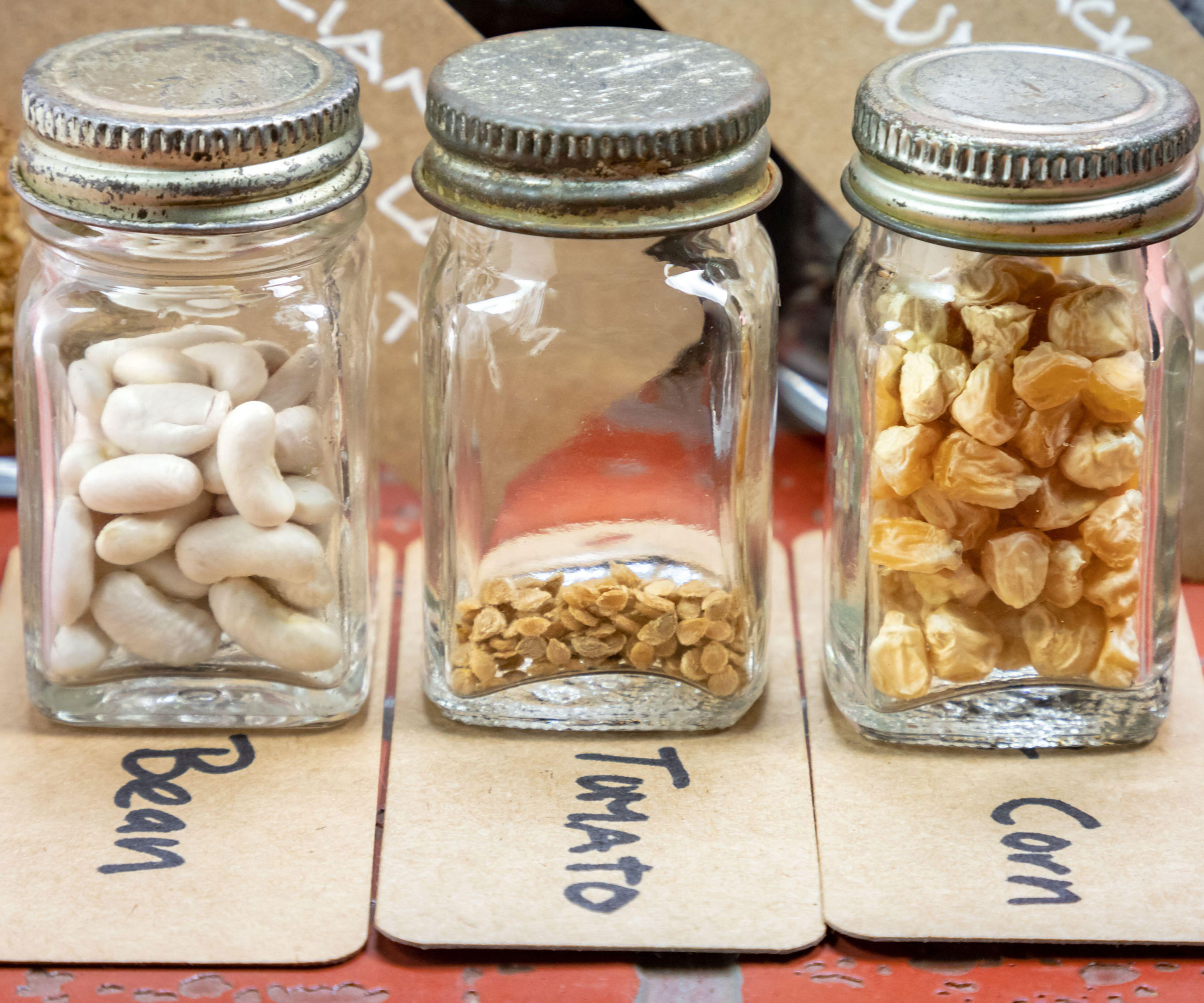 tomato seeds in glass jar with other jars of seeds