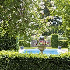 swimming pool with garden