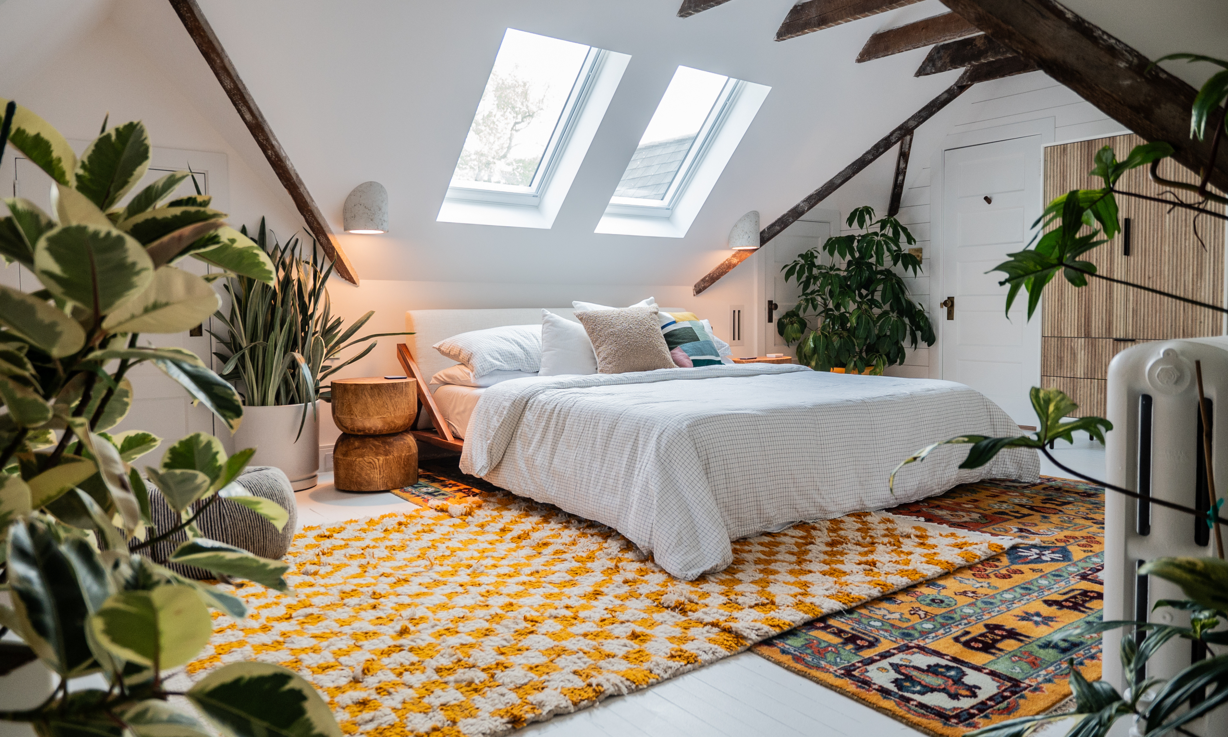 large rubber plant and other big houseplants in a bedroom