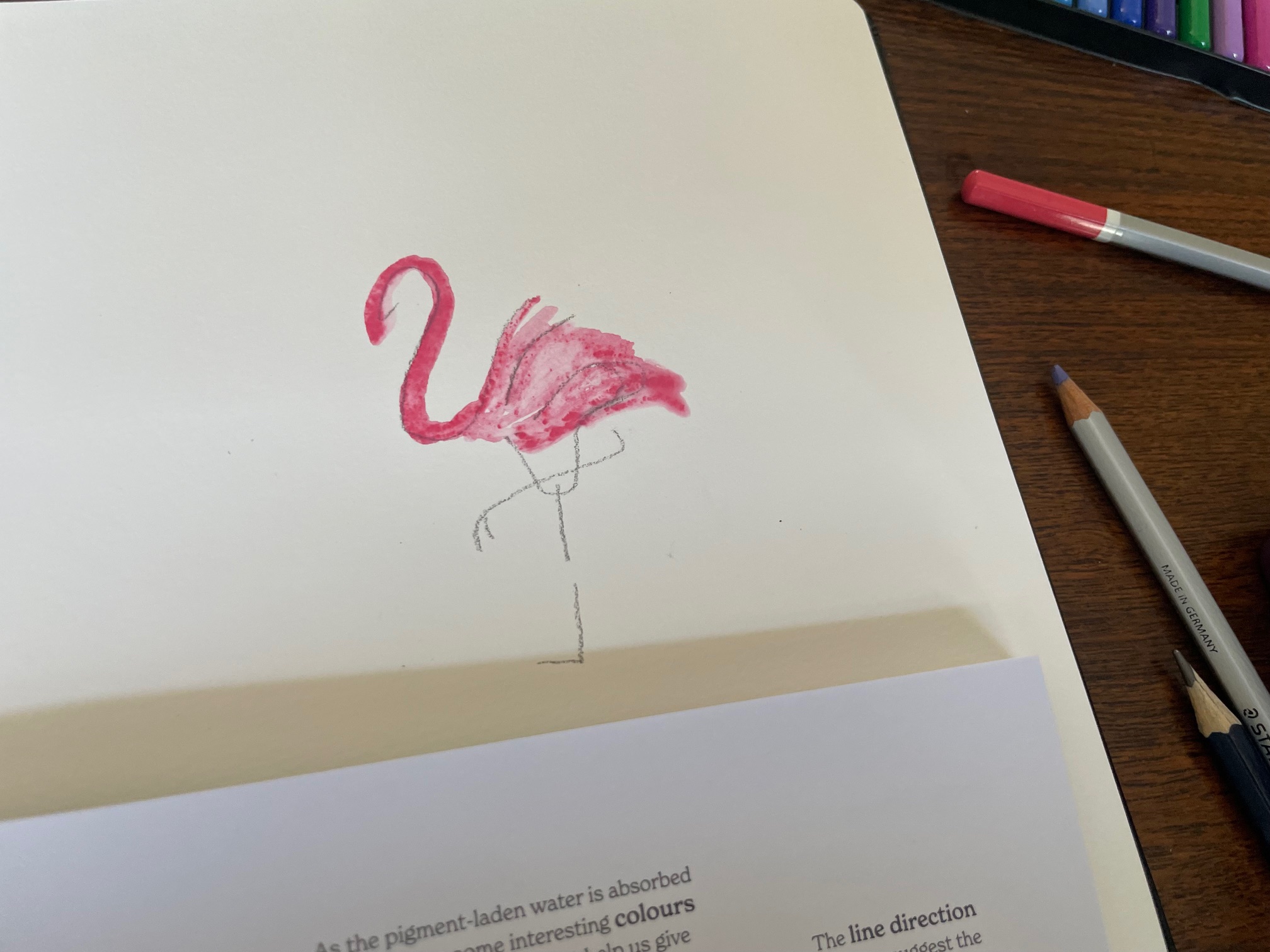 drawings of a flamingo in watercolour using book
