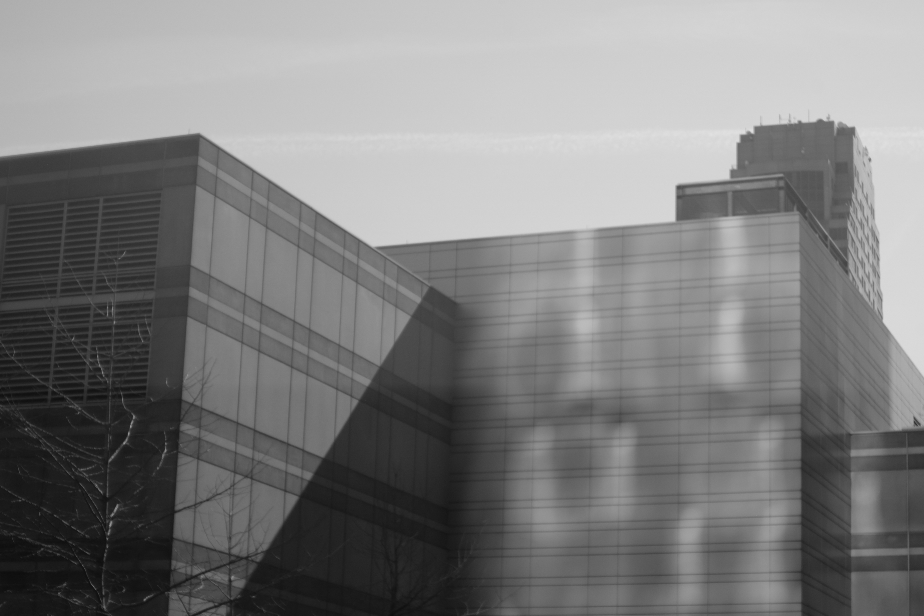 A sample image from PolarPro LightLeak 50mm