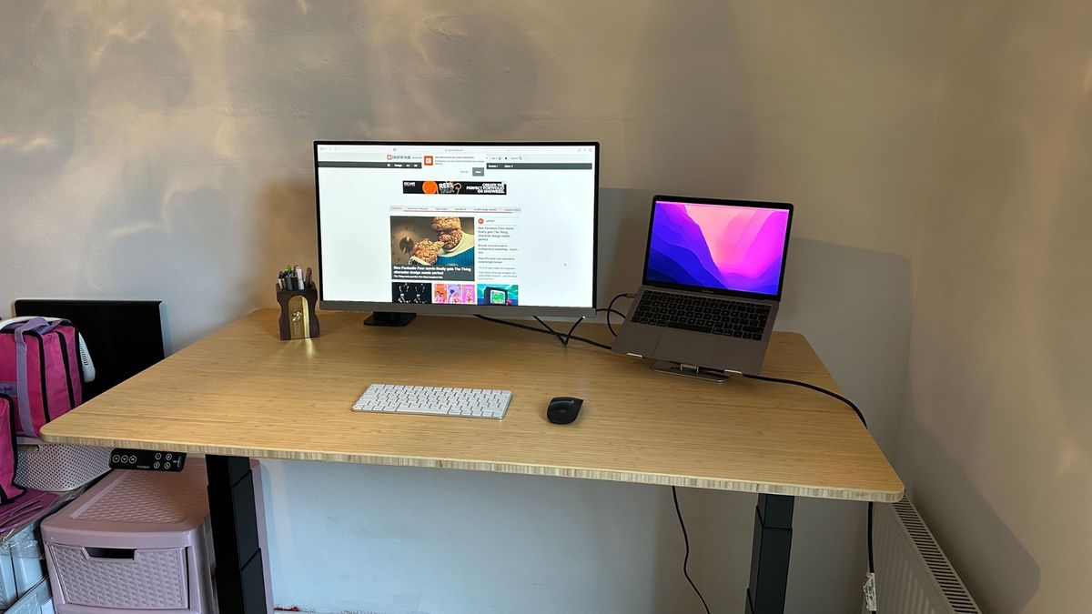 The Flexispot E9 Standing Desk