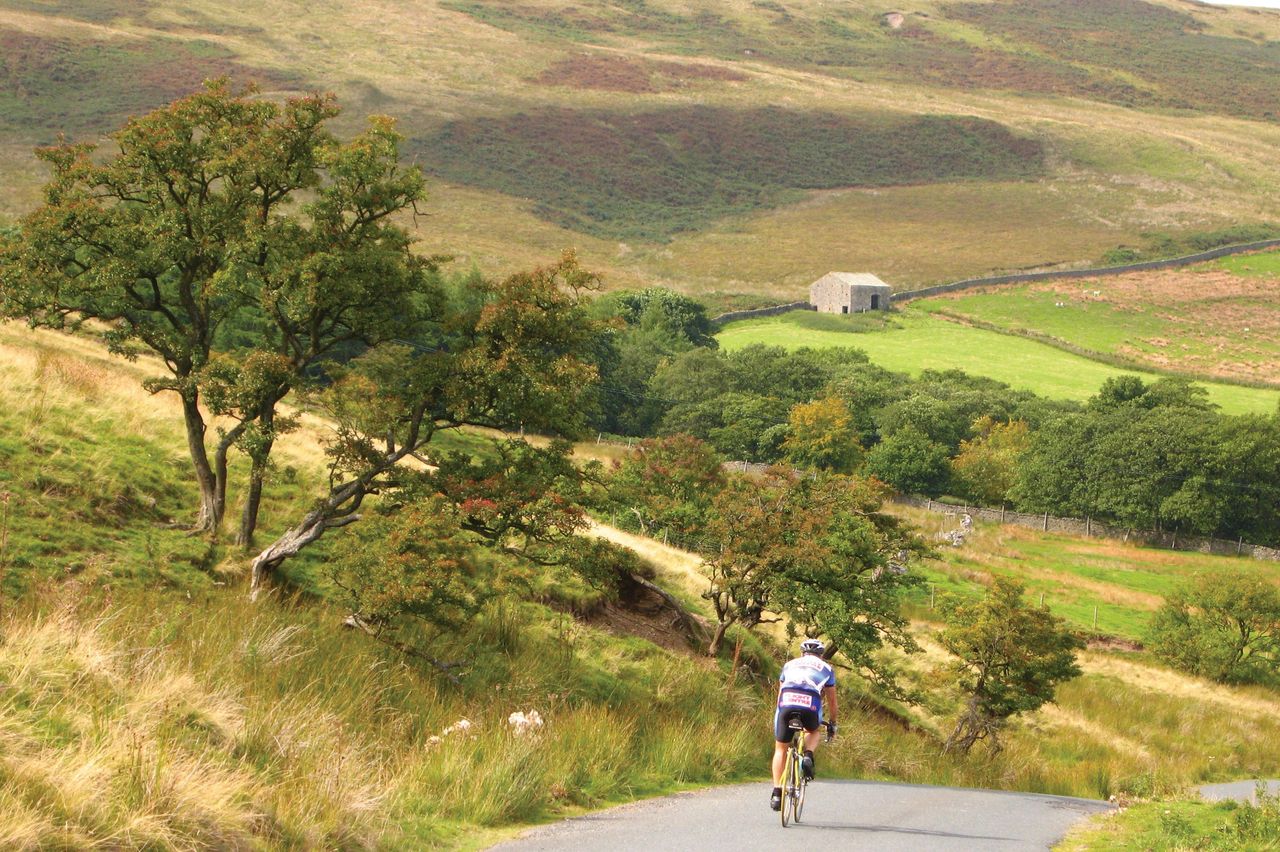 forest of bowland