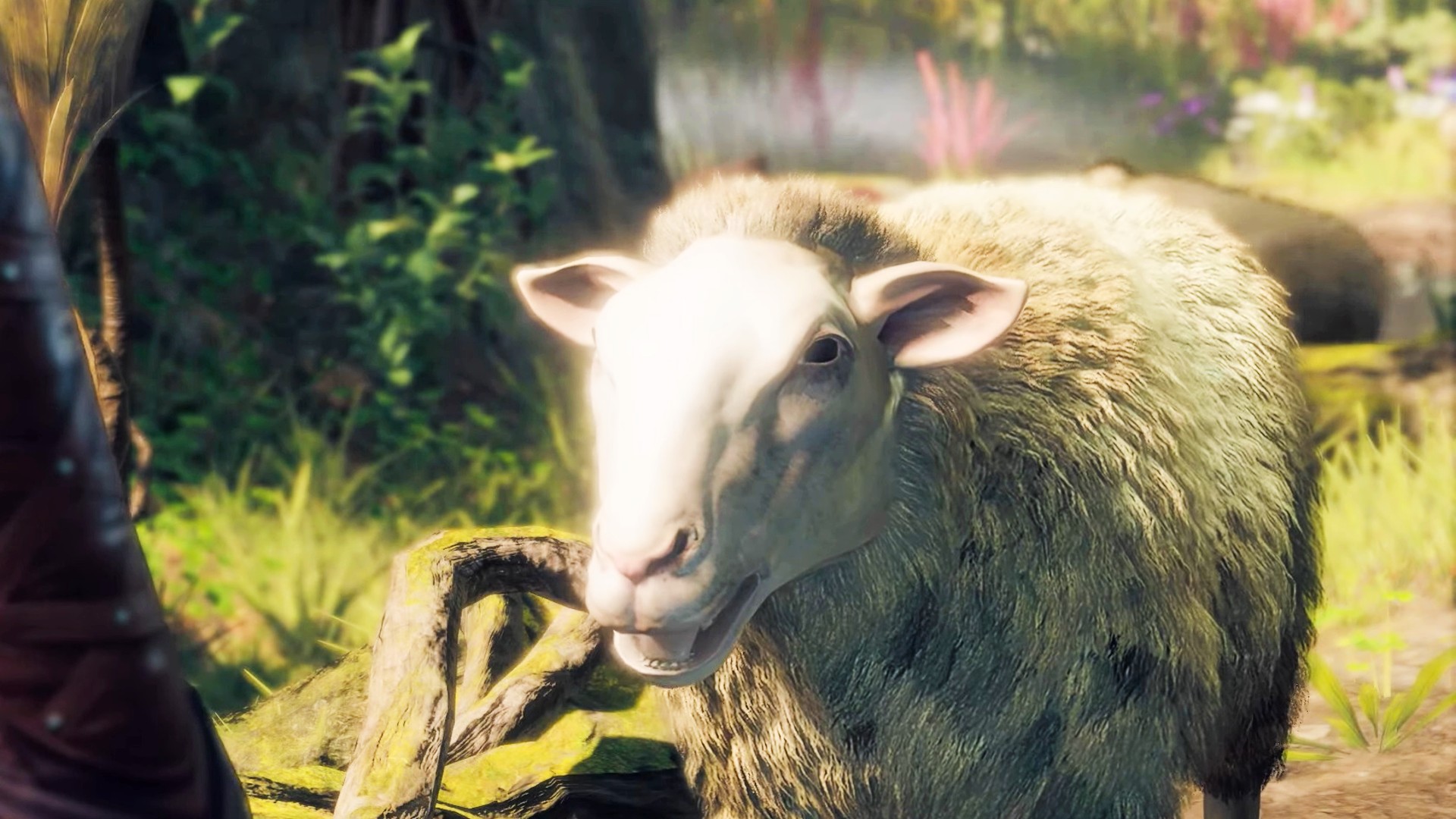 A sheep in Baldur's Gate 3 looks at the screen
