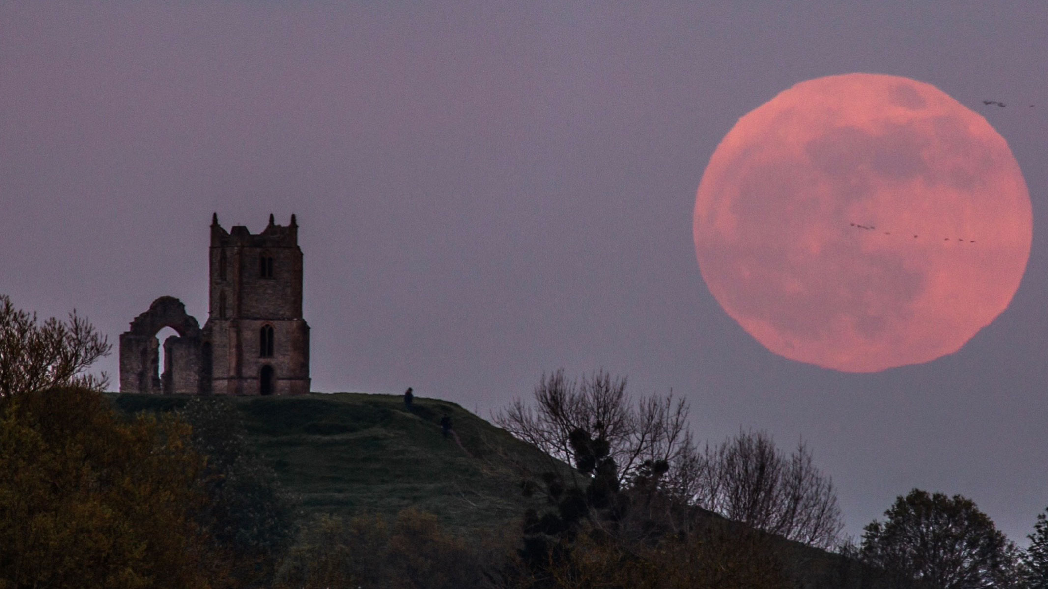 A pink full moon rising over a hill with ruins and trees on it.