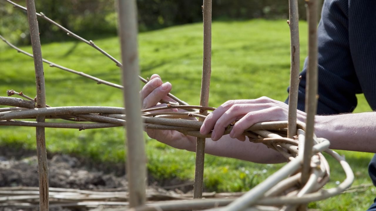 Hazel rods being woven to create a plant support