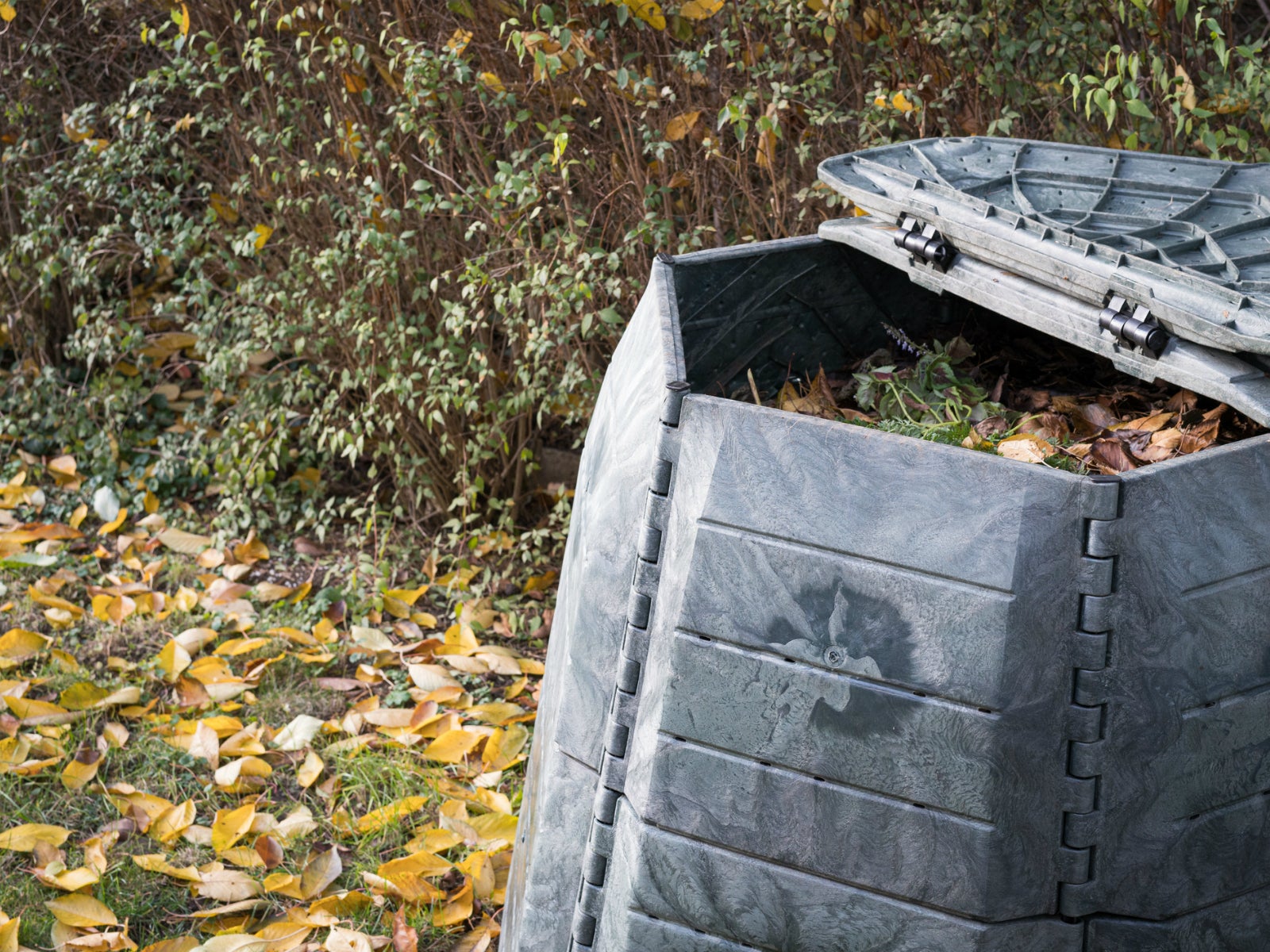 A Beginner's Guide to Composting—Plus, How to DIY a Compost Bin