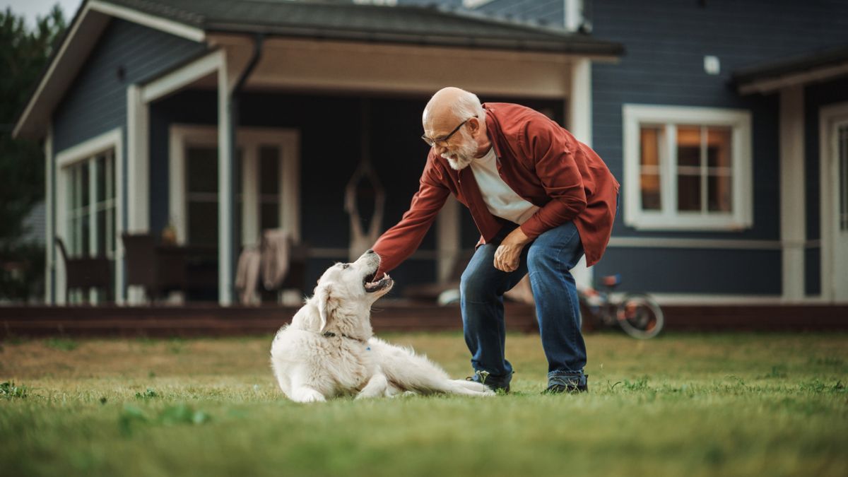 Man and dog playing outside