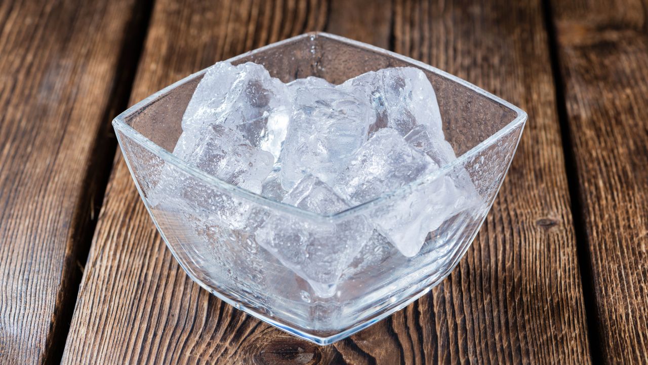 Expert shares clever ice cube hack that could banish flies from your yard this summer