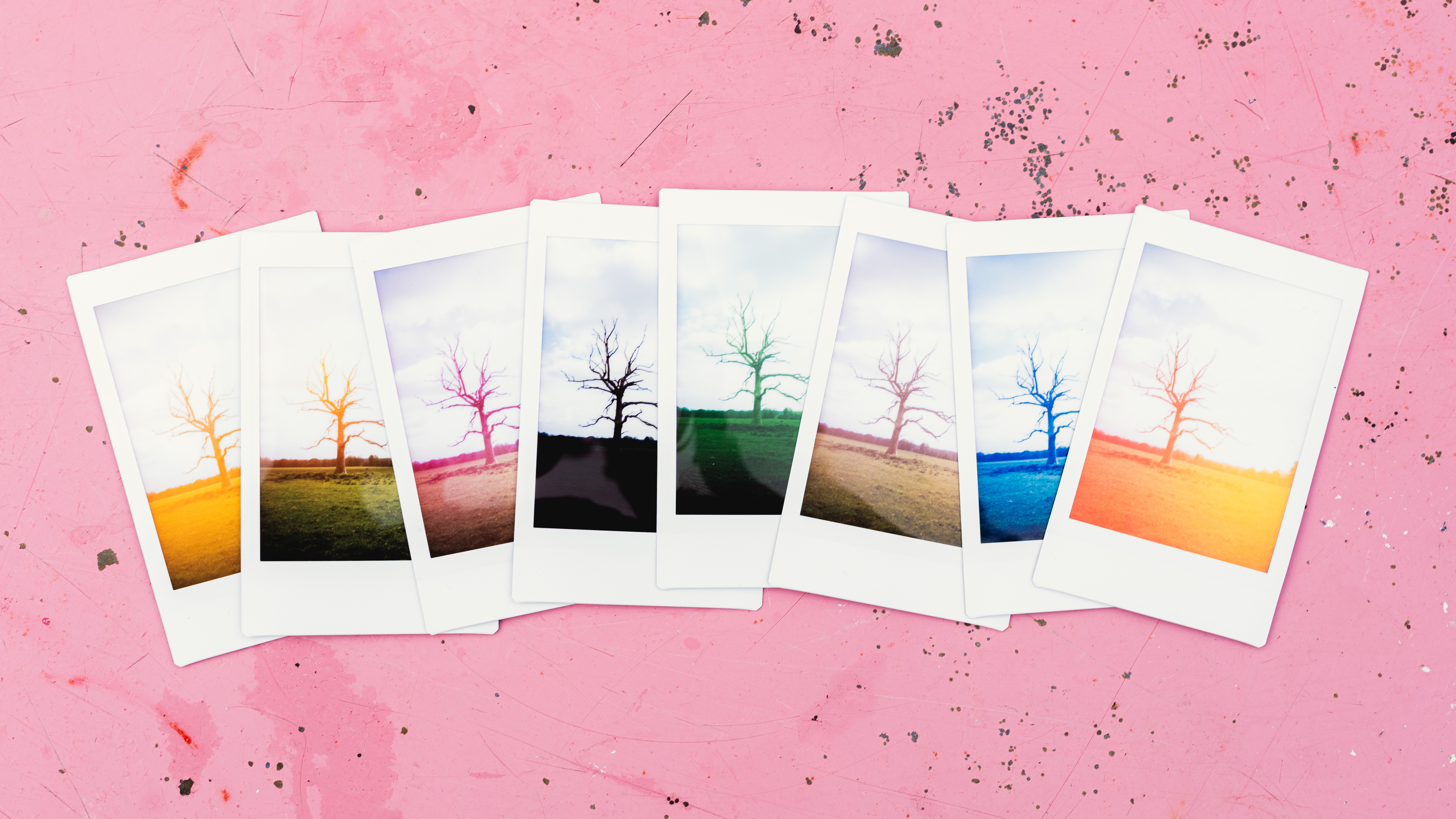 A range of the same Fujifilm Instax Mini 99 instant print of a tree silhouette on crest of a hill with variety of creative color effects applied