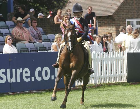 2006.jpg