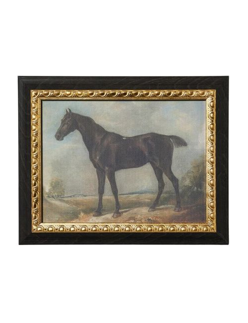 Stallion on Canvas Board With Frame