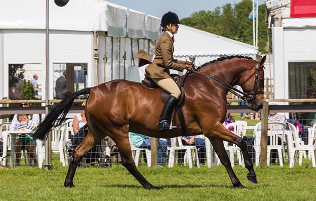 26 - ROYAL ENGAGEMENT &amp; Claire Oliver