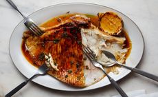 osteria angelina london