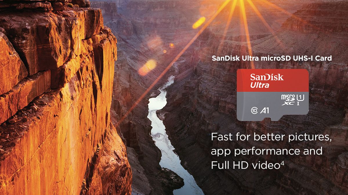 Best SD cards for Steam Deck 2024 Windows Central