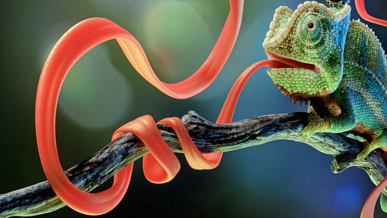 A greater level of detail is shwon on the tongue and the chameleon's head