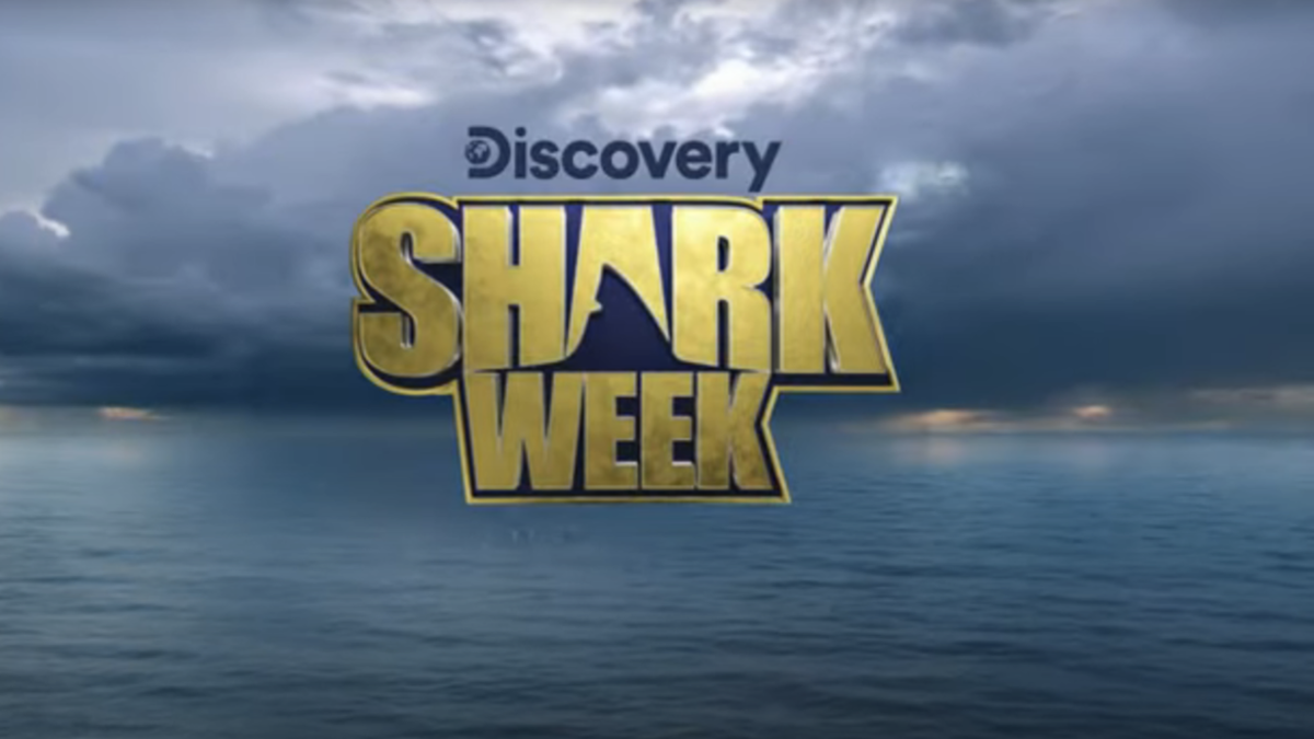 Shark Week 2023 Kicks Off With Orcas As Great White Shark 'serial 