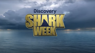 Shark Week 2023 Logo