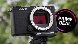 Panasonic Lumix S9 camera on a tripod outside
