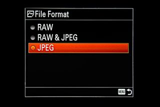 File format
