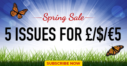 Spring sale magazine subscription graphic