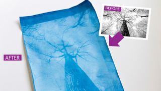 How to make a sunprint cyanotype