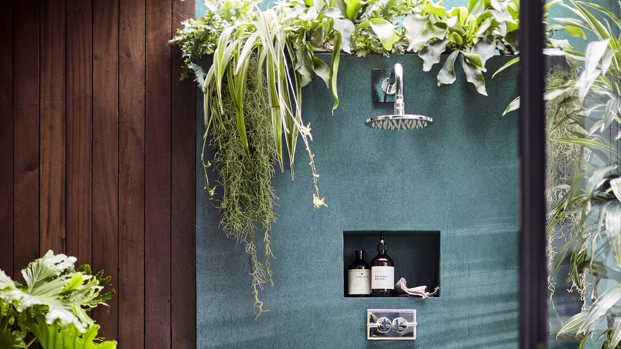 Best plants for bathrooms Botanical bathroom collection from Dobbies White tea vitamin E hand wash 500ml £15; Amber bath foam £12; Mandarin mint basil room spray £10; Philodendron Bipinnatifidum &#039;shangri-la&#039; plant 27cm £69.99; Phelbodium Aureum blue star plant 12cm £6.99