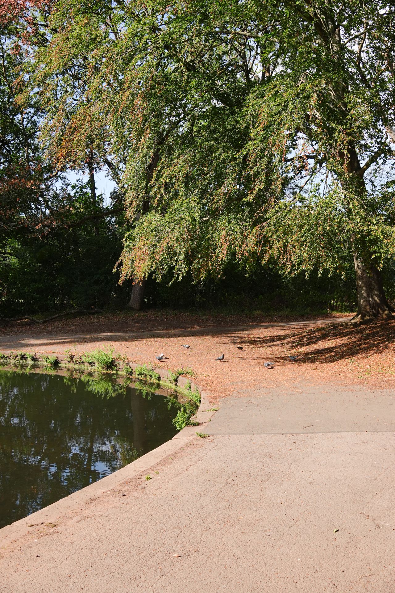 A photo taken on a Sony RX10 V bridge camera