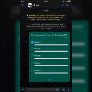 Whatsapp Group Chat Poll Receipt Screenshot