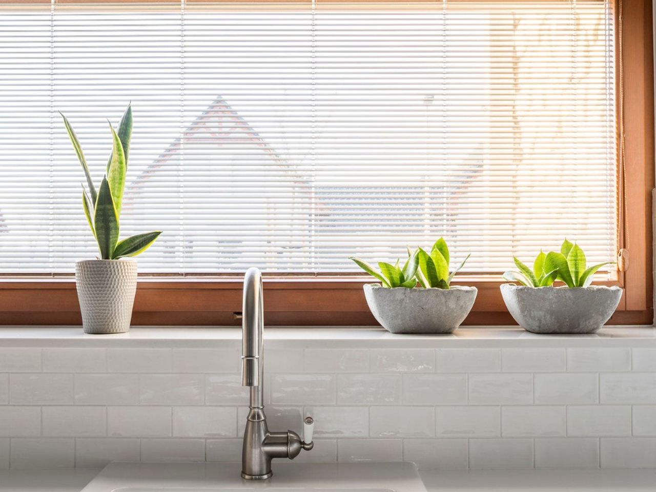 Potted Houseplants On Windowsill