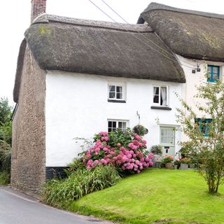 thachted cottage front garden