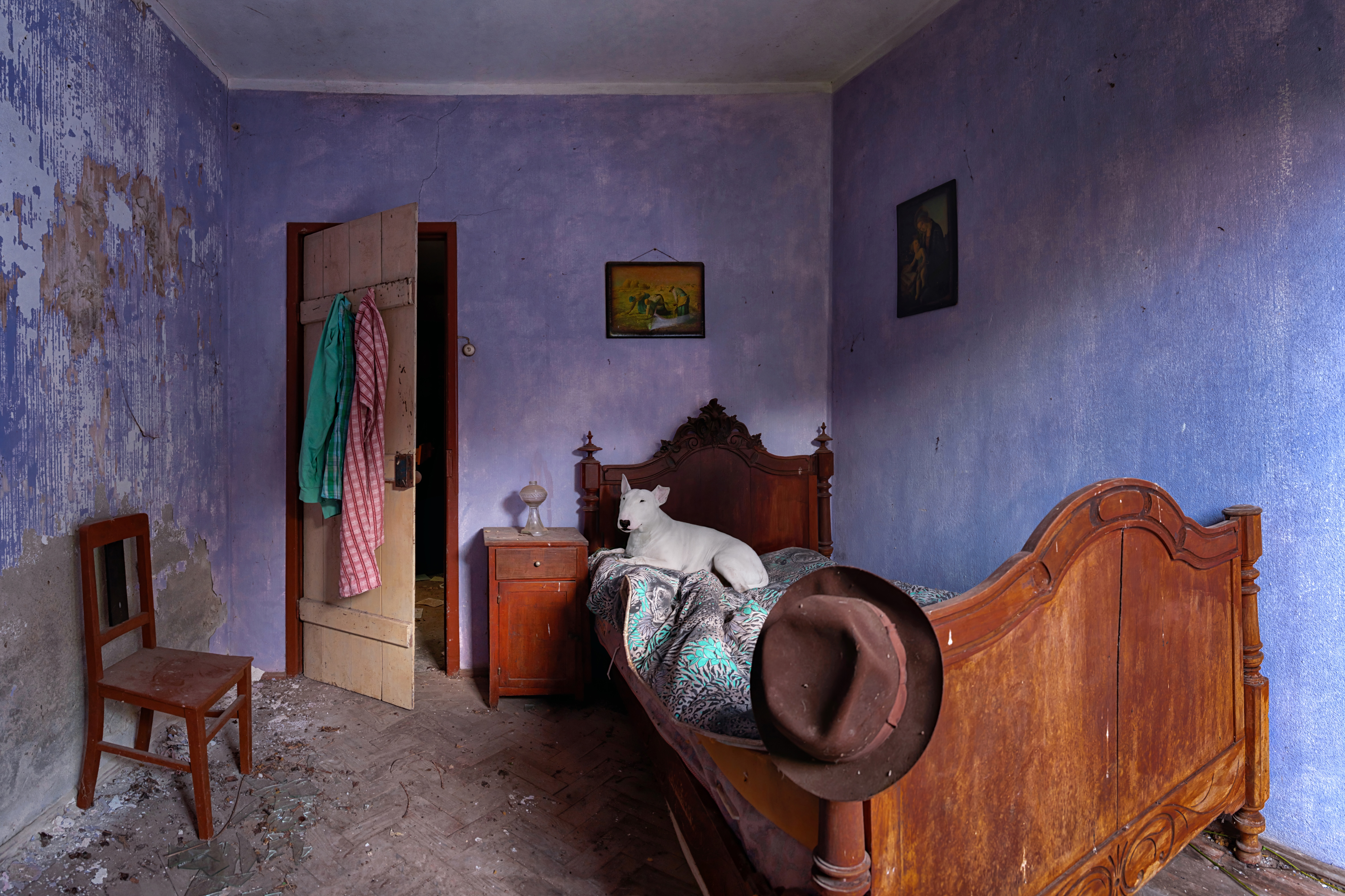 English Bull Terrier posing in a room designed to look like Van Goghs bedroom