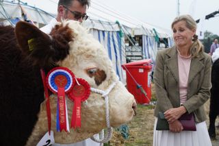 Sophie Wessex meets the winning bull at Westmoreland County Show