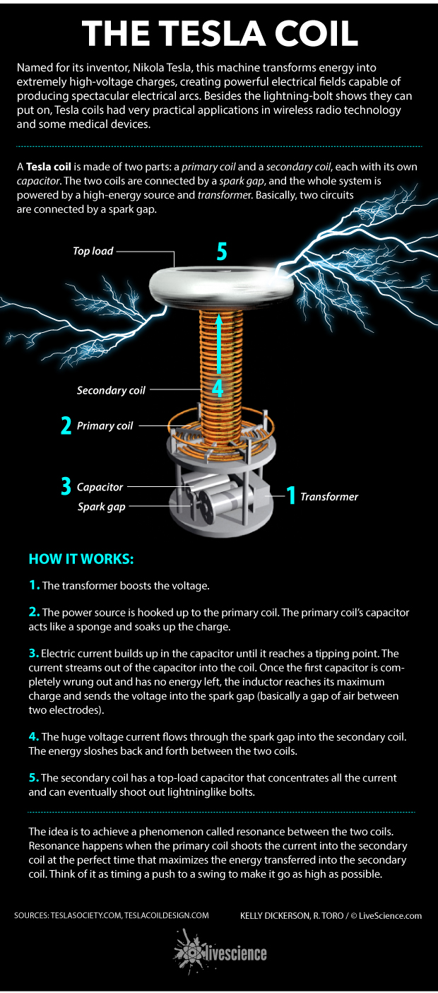 How the Tesla Coil Works (Infographic) | Live Science