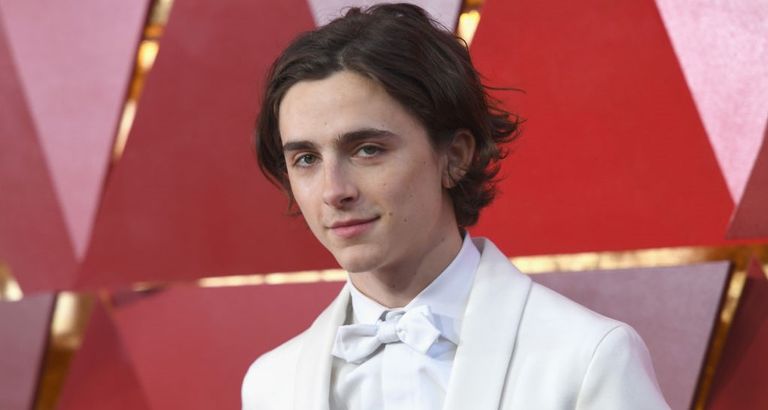 Timothée Chalamet attends the 90th Annual Academy Awards at Hollywood & Highland Center