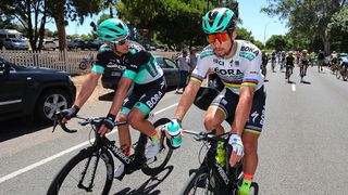 The green, white and black jersey of Bora-Hansgrohe won the Cyclingnews reader vote for best WorldTour jersey of 2018