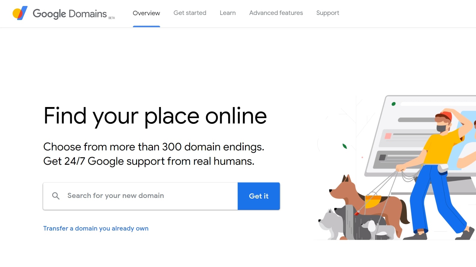 Google Domains' homepage