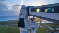 The Crew Dragon capsule that will deliver Crew-1 to the International Space Station sits on Pad 39A at NASA's Kennedy Space Center in Cape Canaveral, Florida in anticipation of the Nov. 14 launch.