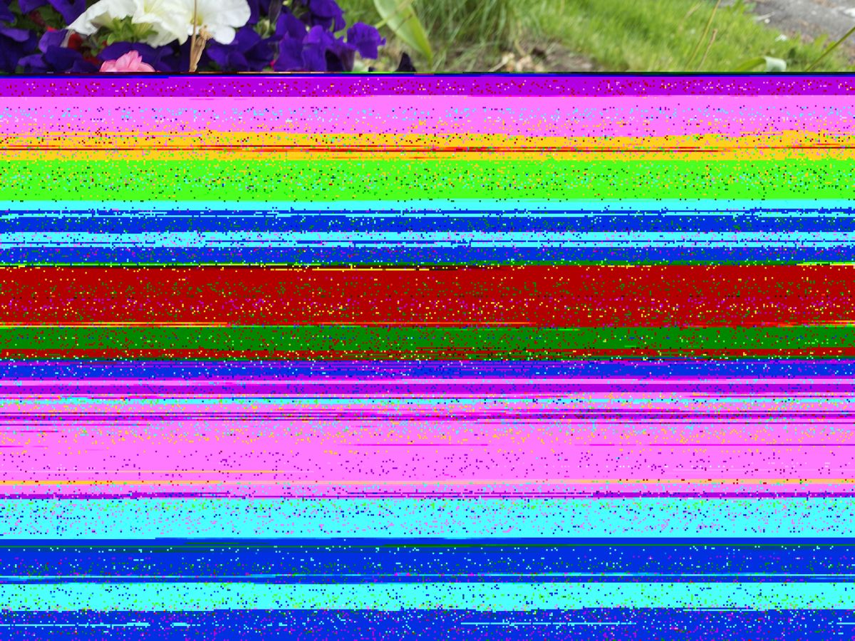 An assortment of color flowers