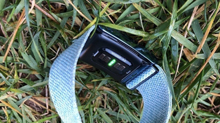 Whoop 4.0 laying in grass showing sensor