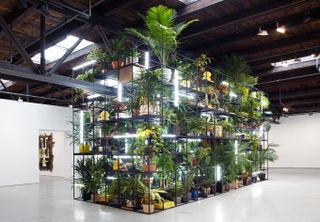 a grid of black steel shelving holds plants, shea butter, growing lights and books, four monitors playing video art and a giant piano